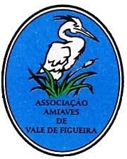 AMIAVES