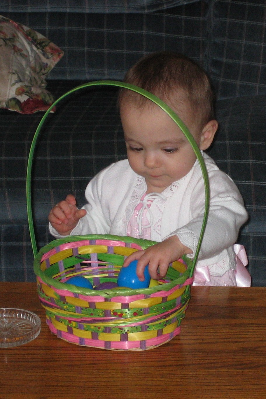 [IMG_4728cropped.jpg]