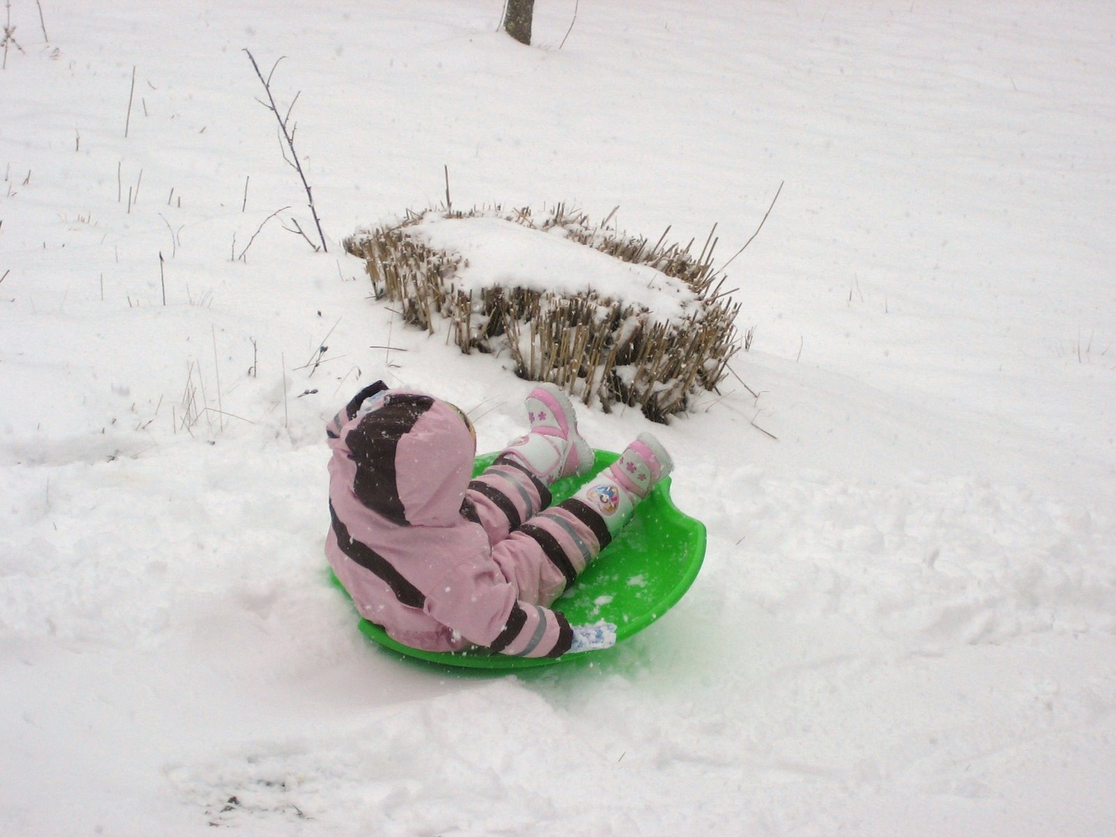 [IMG_4464.JPG]