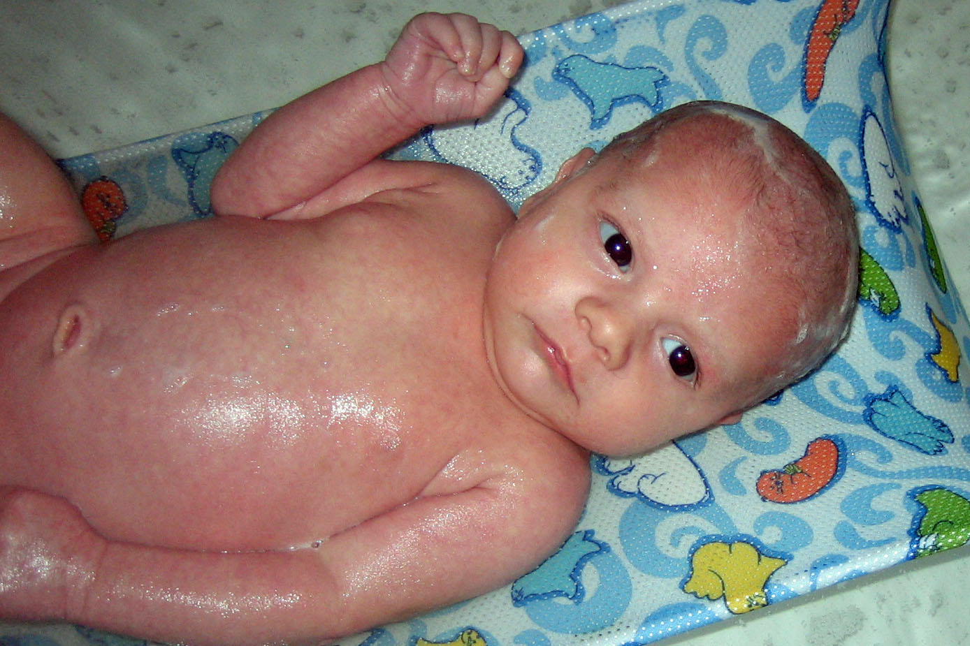 [IMG_2237+cropped.jpg]
