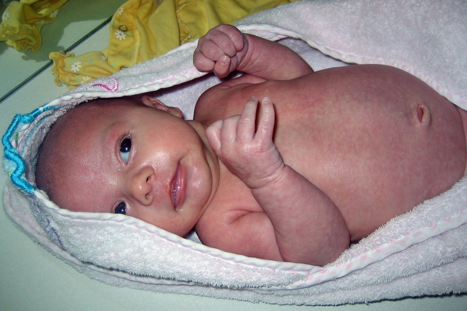[IMG_2243+cropped.jpg]