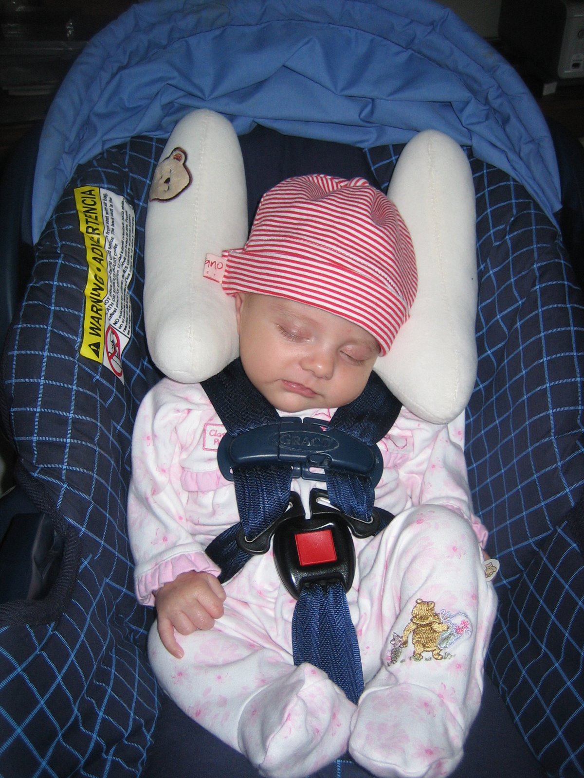 [IMG_2740.JPG]
