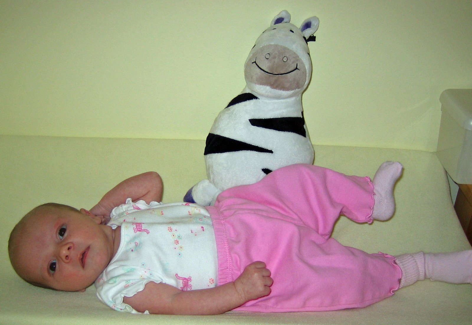 [May+zebra.jpg]