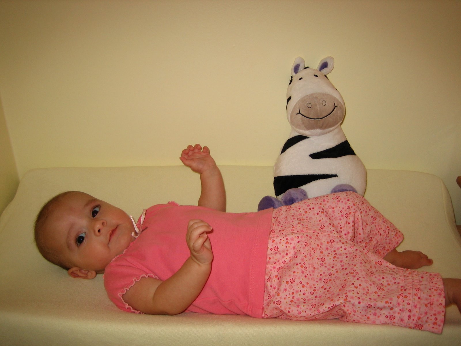 [IMG_3517.JPG]