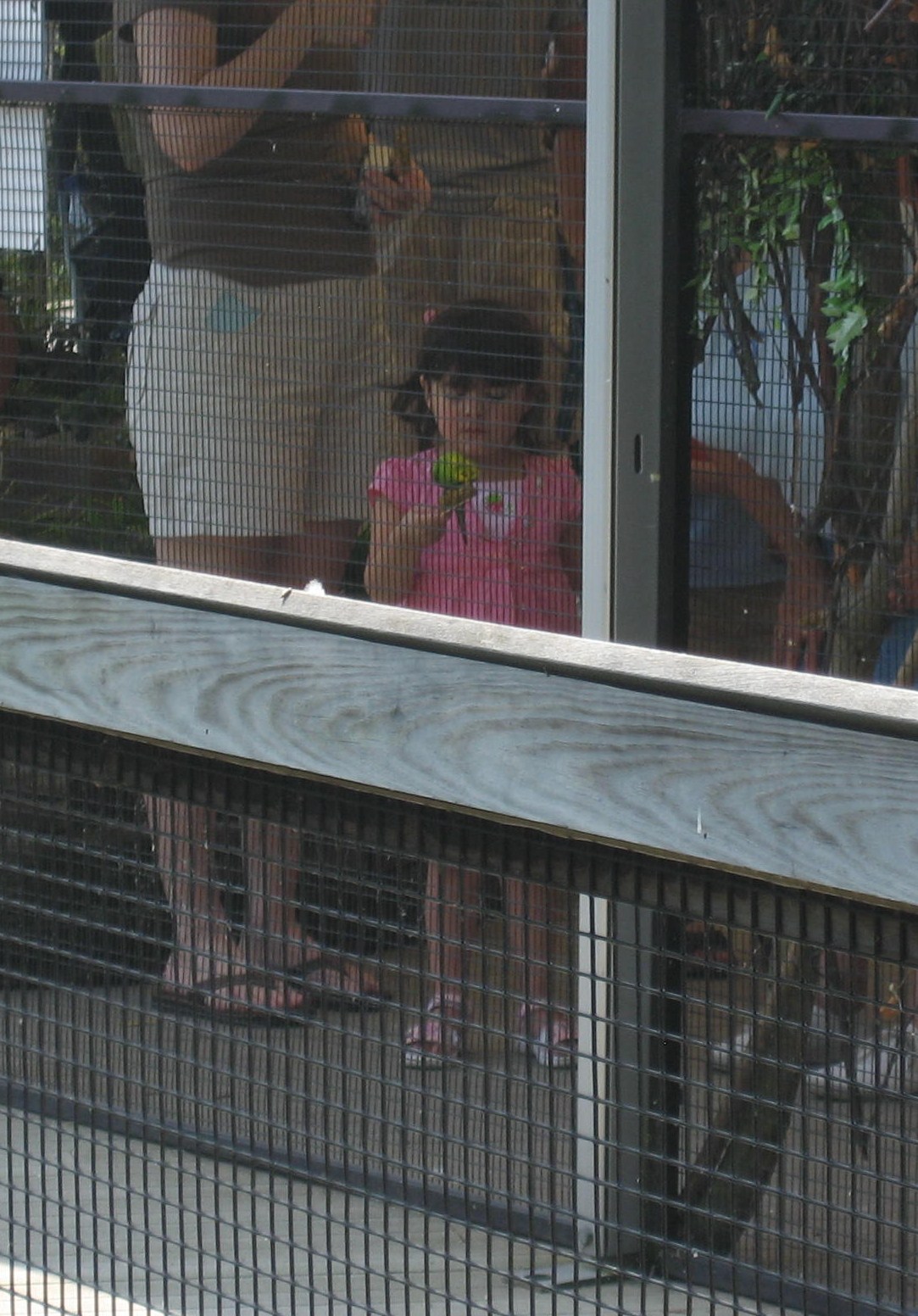 [IMG_6582cropped.jpg]