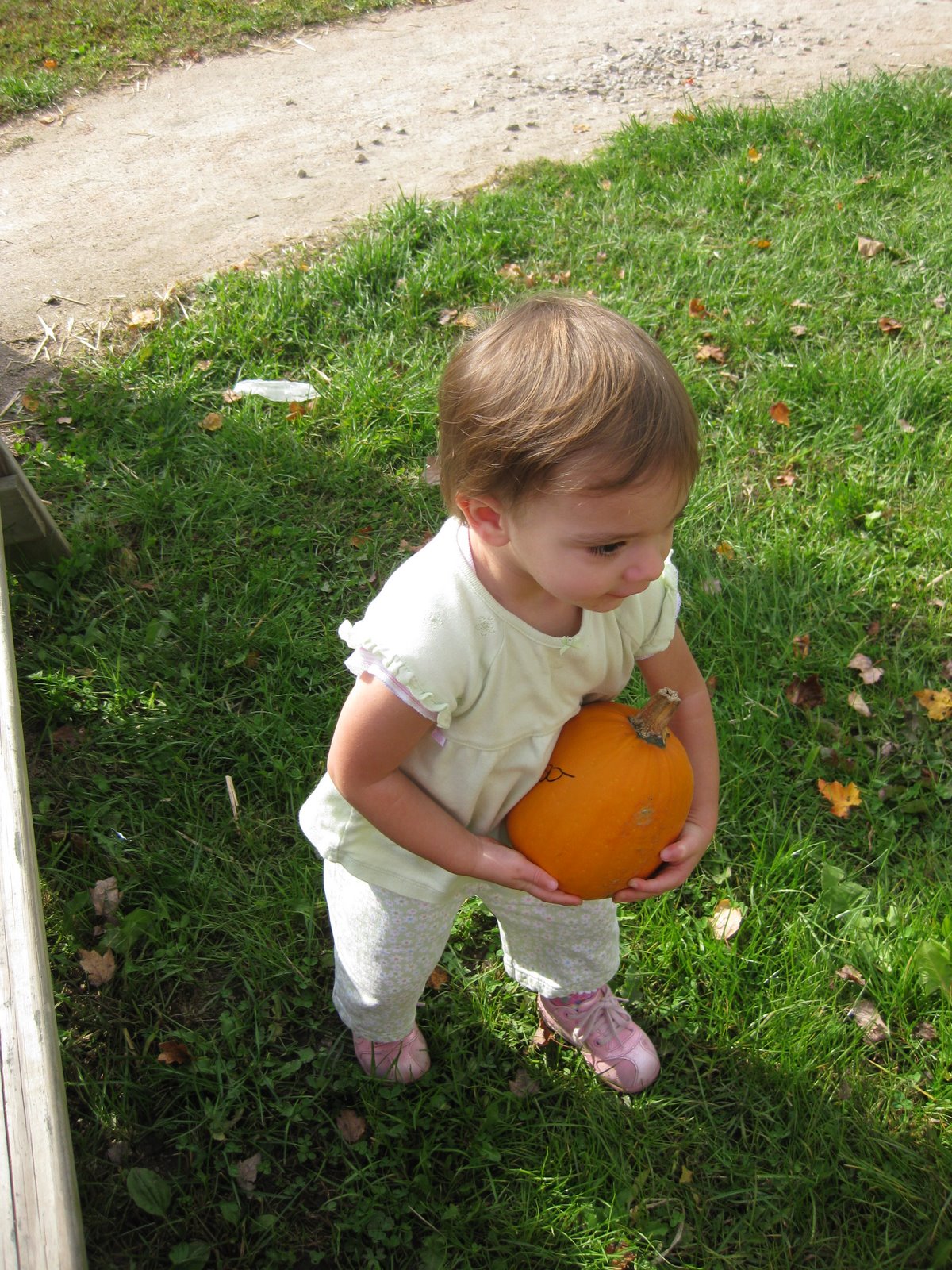 [IMG_7478.jpg]