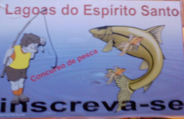 [concurso+de+pesca.jpg]