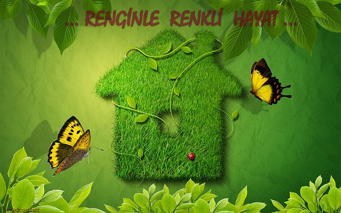 ...Renginle Renkli Hayat...