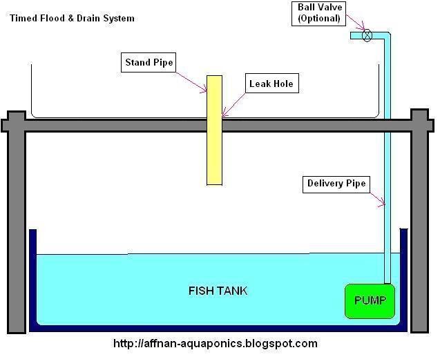Affnan's Aquaponics Timed Flood & Drain System