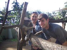 Me and Dan with the Koalas