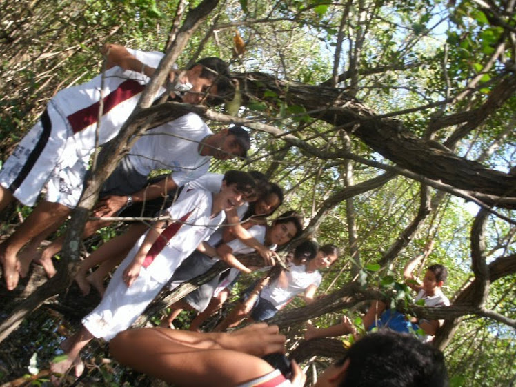 Aula de Campo