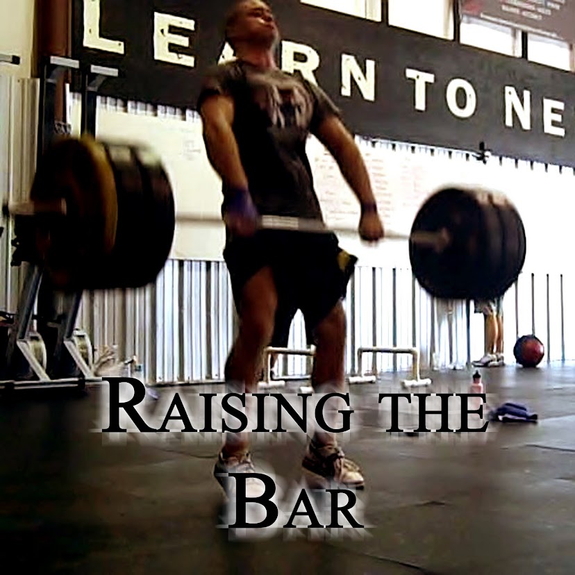 raising the bar i need a hero