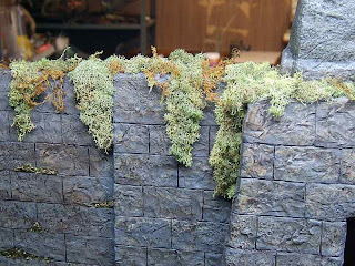 Skull Island Wall