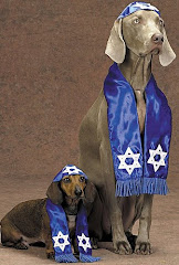 Rabbi Dog