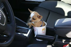 hummm..... does your coffee taste funny too??