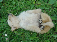 ahhhh.... relaxin'
