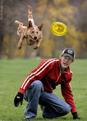 flying frisbee fido!!
