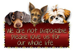 please -- we are NOT disposable