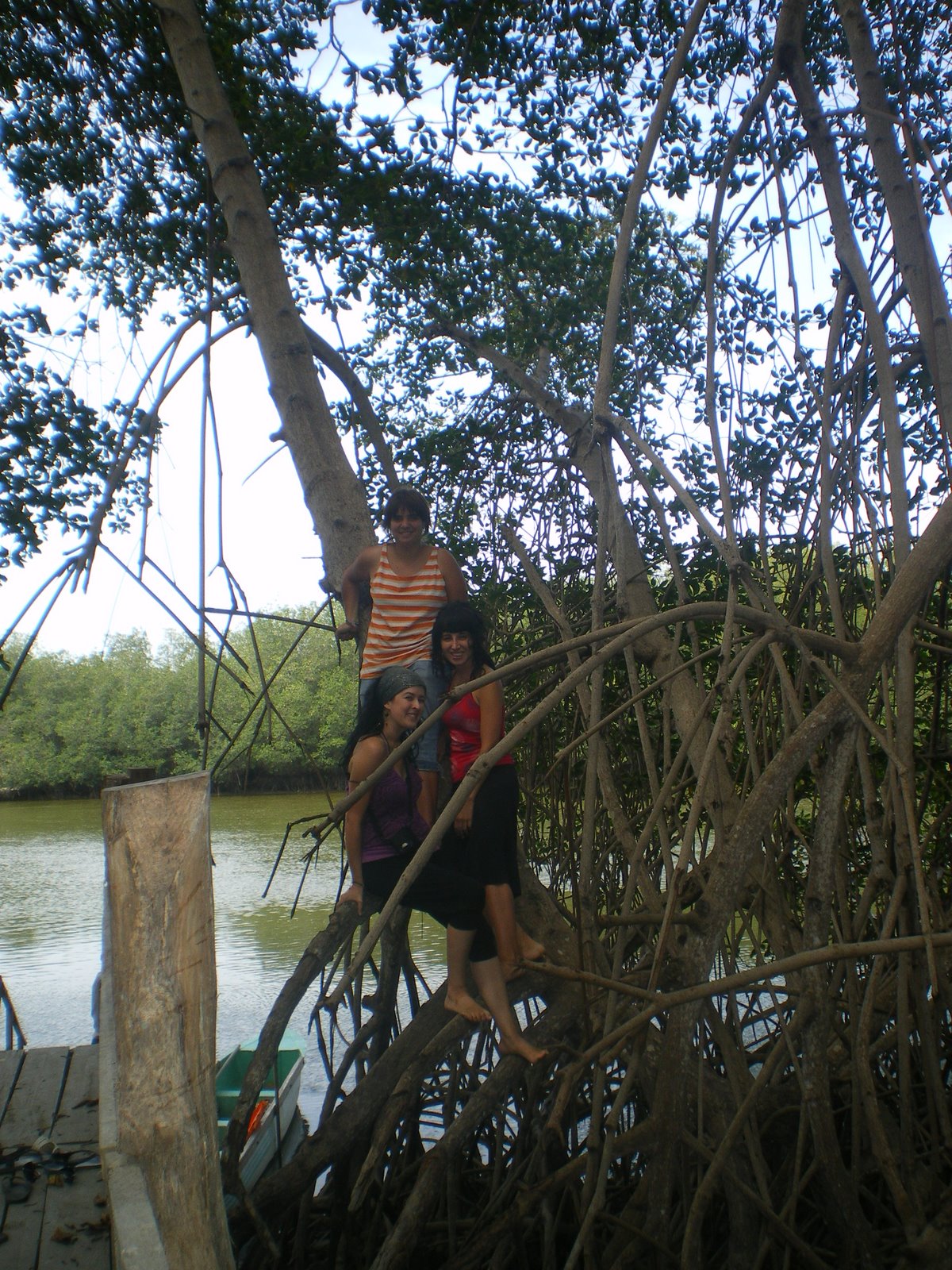 [IMGP3370.JPG]