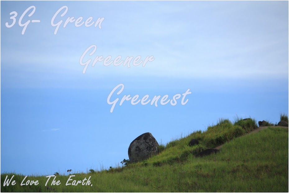 3G - Green, Greener, Greenest