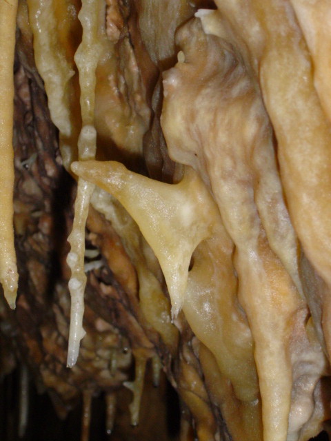 [DSC00101.JPG]