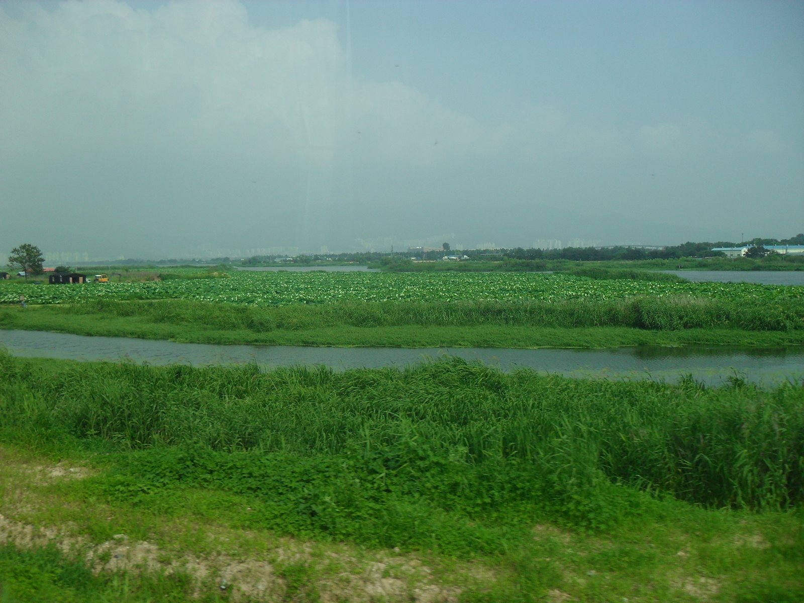 [SDC12099.JPG]