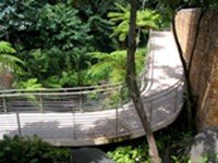 EL PORTAL DEL YUNQUE