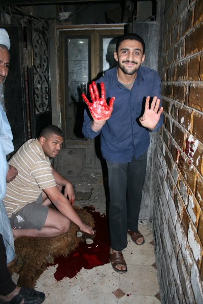 [Cairo_450.JPG]