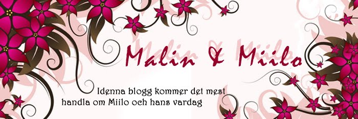 Malin och Miilo