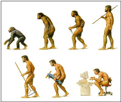 prepauvmbiologia2.blog...Teoría de la evolución de