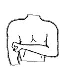 Blood Piru Knowledge, crip gang codes symbols knowledge