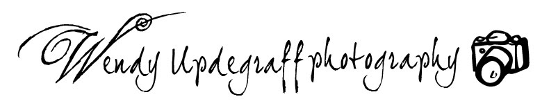 Wendy Updegraff