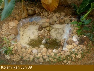 My Small Garden: Kolam Ikan DIY