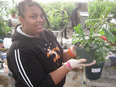 She named her tomato plant Chelsea