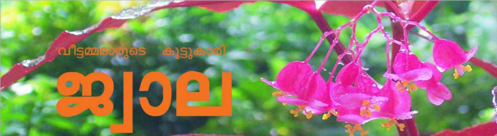 ജ്വാല