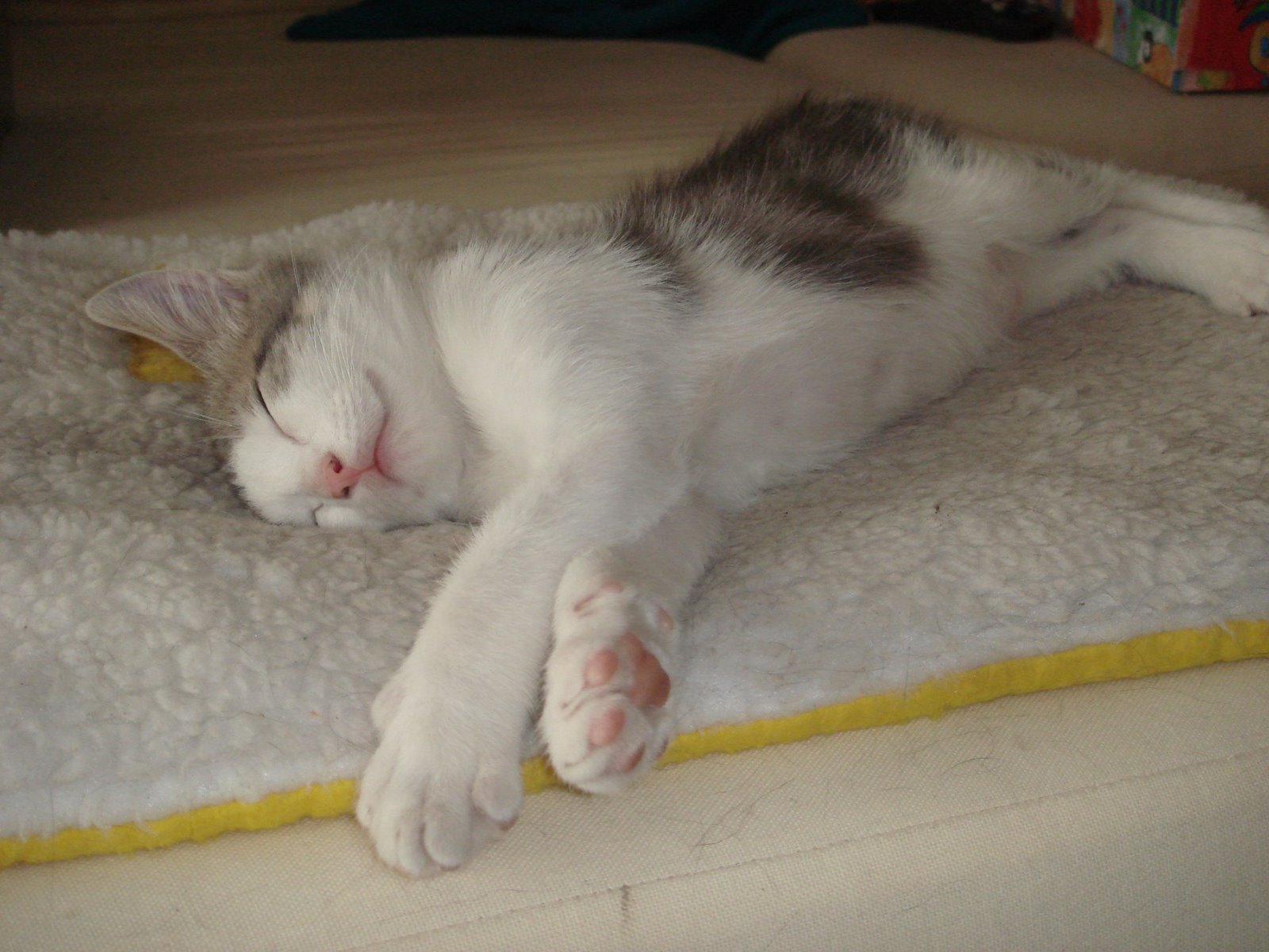 [DSC01255.JPG]
