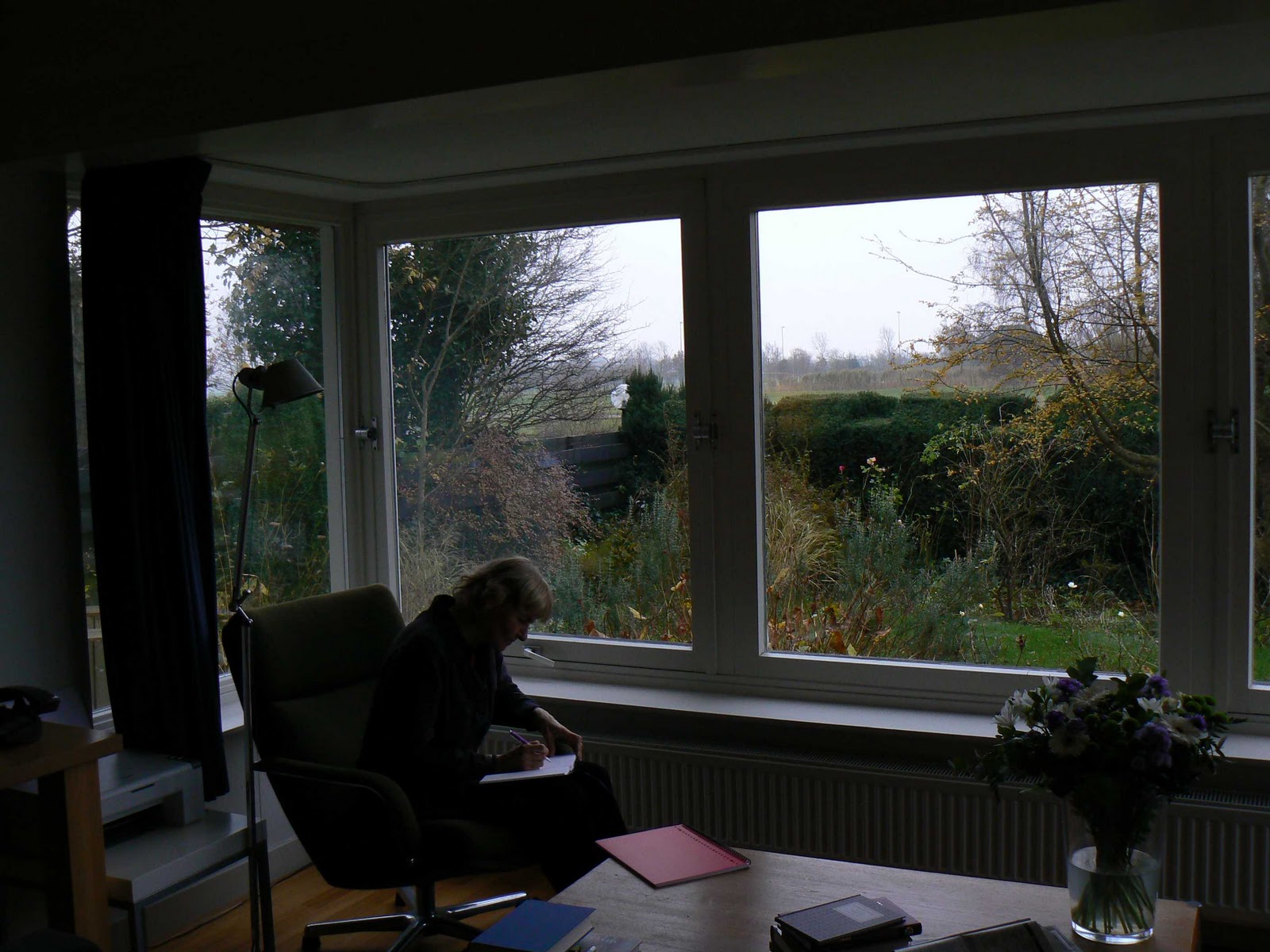 Annie van gansewinkel: november 2010