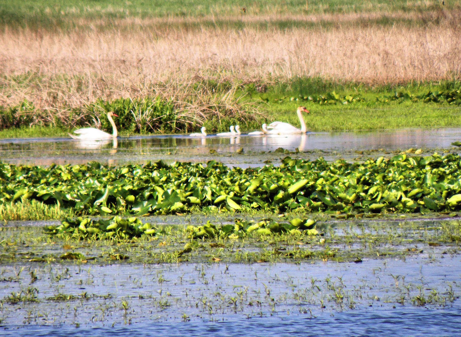 kingsbury-fish-and-wildlife-area Images - Frompo - 1