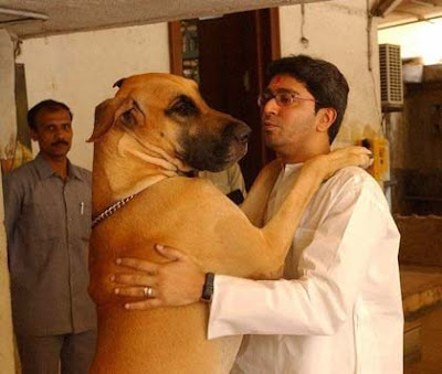 Raj Thackeray is losing it.