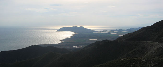 [IMG_4432.jpg]