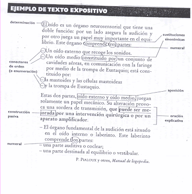 ENSAYO LENGUA Y LITERATURA ensayo lengua y literatura: