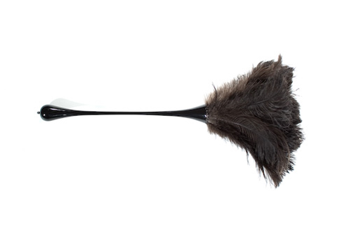 [featherduster.jpg]