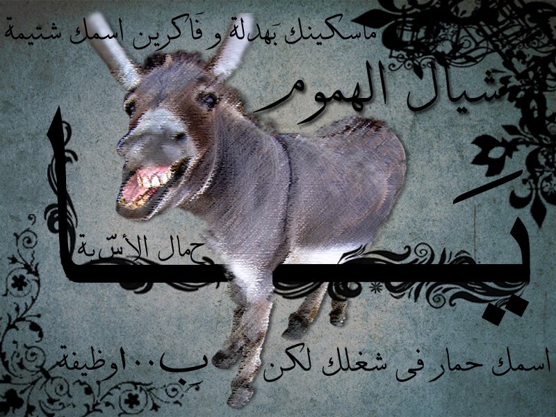 [shaial_el7emool__D_by_ideacreative.jpg]