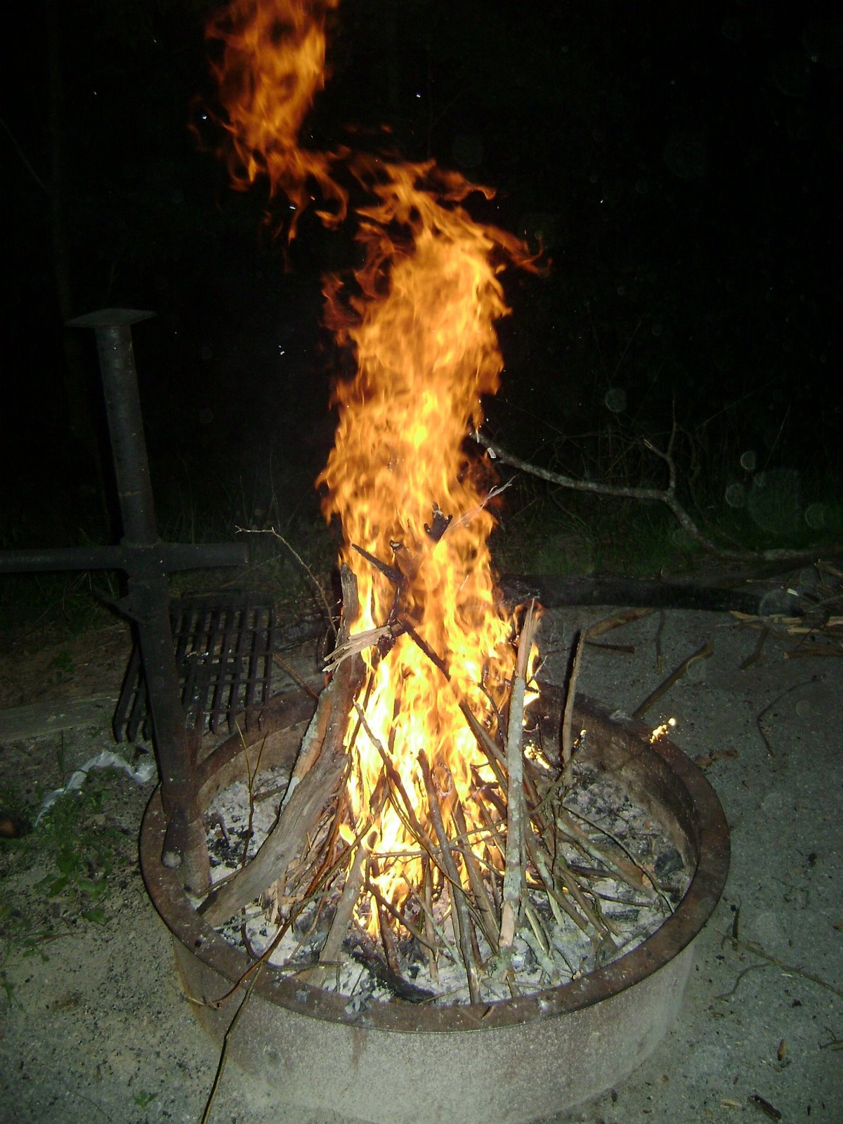 [Copy+of+DSC01317.JPG]