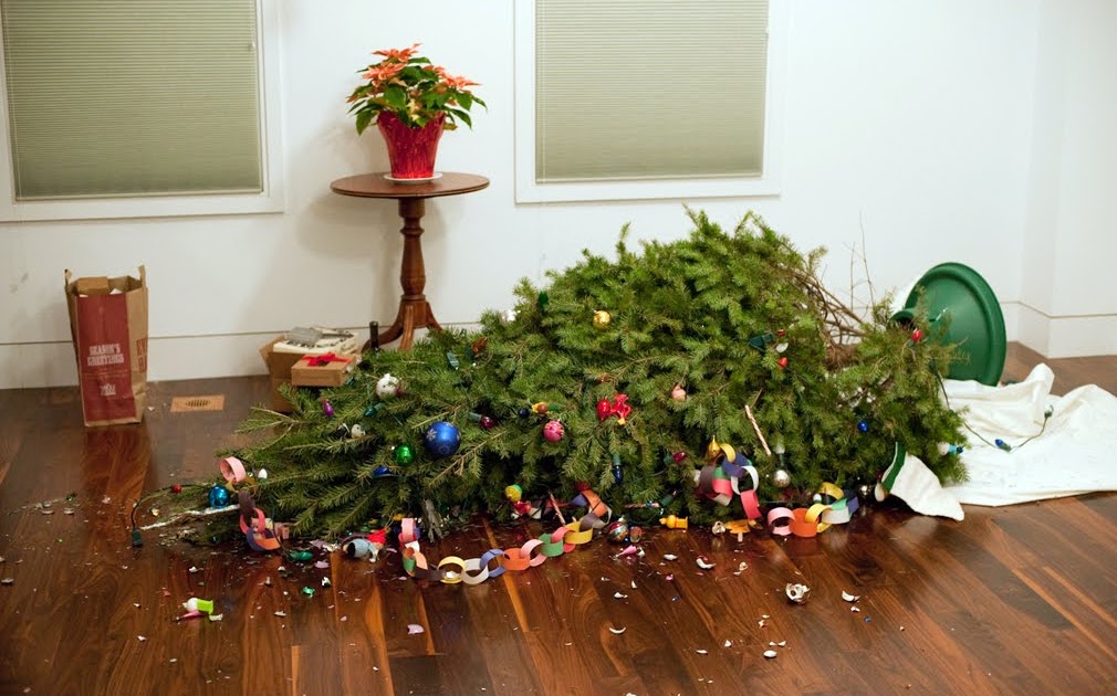 Richard Renaldi's News and Events December 25, 2010 The Christmas day