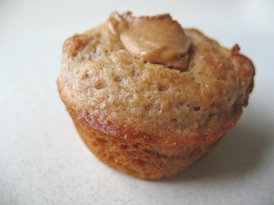 Your baby eats WHAT?! Muffin Monday Recipe for ApplePeanut Butter