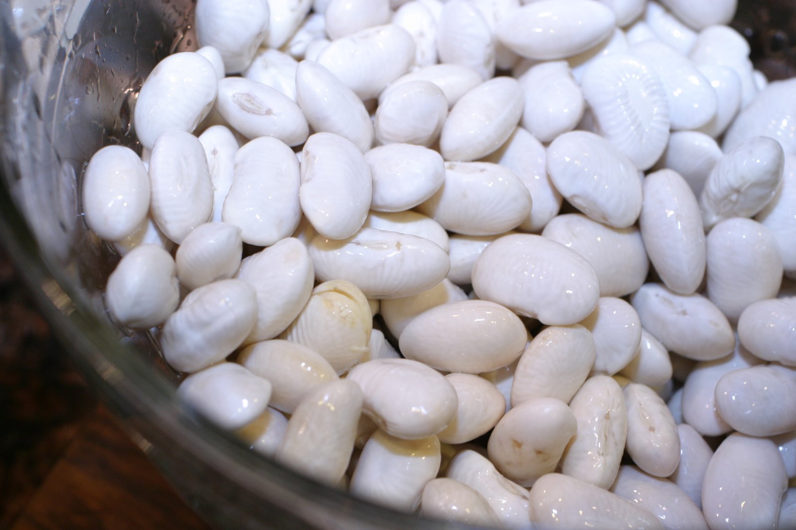 [beans.JPG]