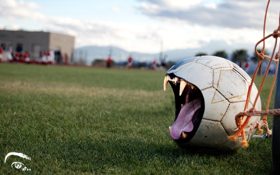 Beautiful Soccer Wallpapers | Just Click and Download ~ PCB