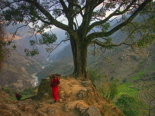சிறந்த புகைப் படங்கள்.06 Beautiful+Nepal+Photos+%2820%29