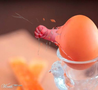 Photoshop Creativity Eggs... Photoshop+Eggs+11